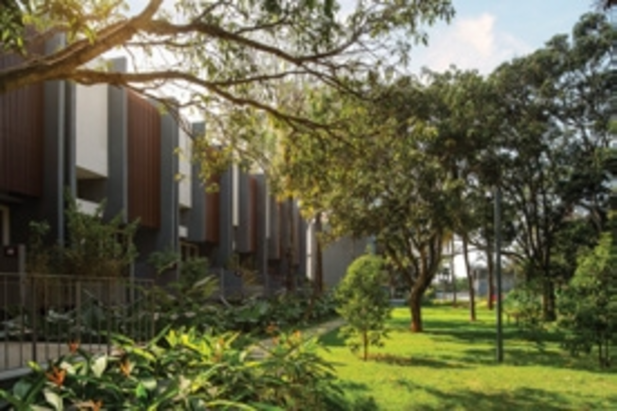 assetz codename micropolis greenery