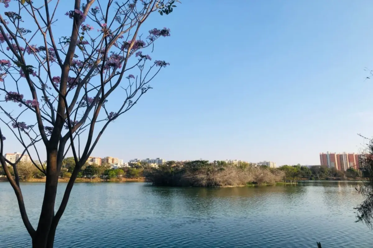 kudlu lake park bangalore